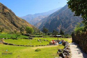 Inca medows