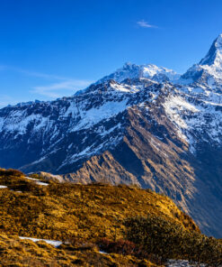 KHOPRA RIDGE TREK