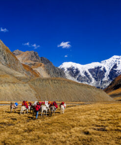 UPPER DOLPA TREK