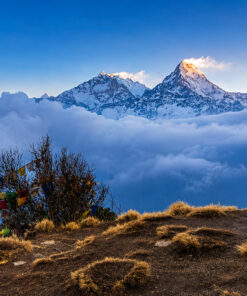 Poon Hill